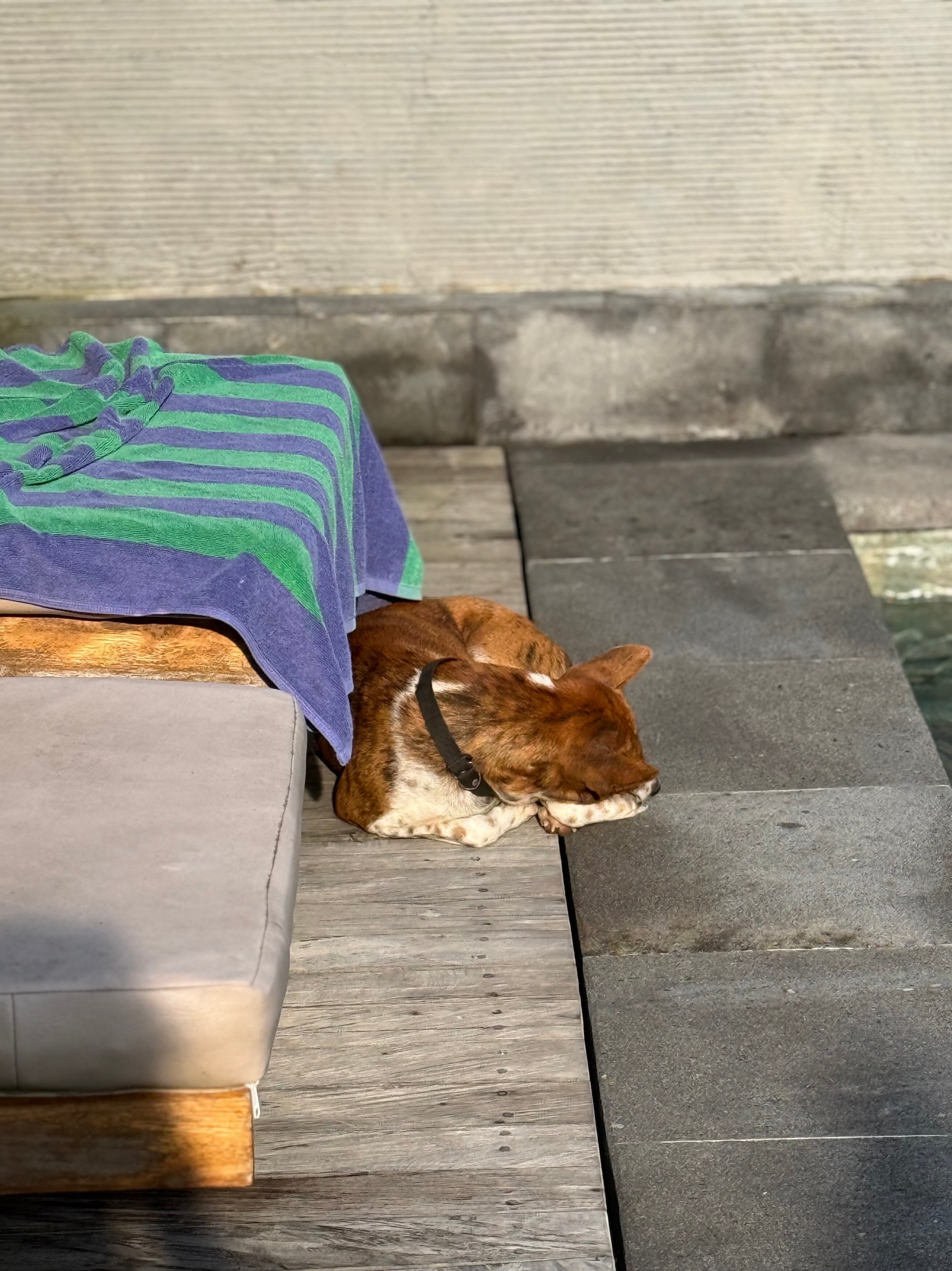 We are traveling the coast of Bali right now...